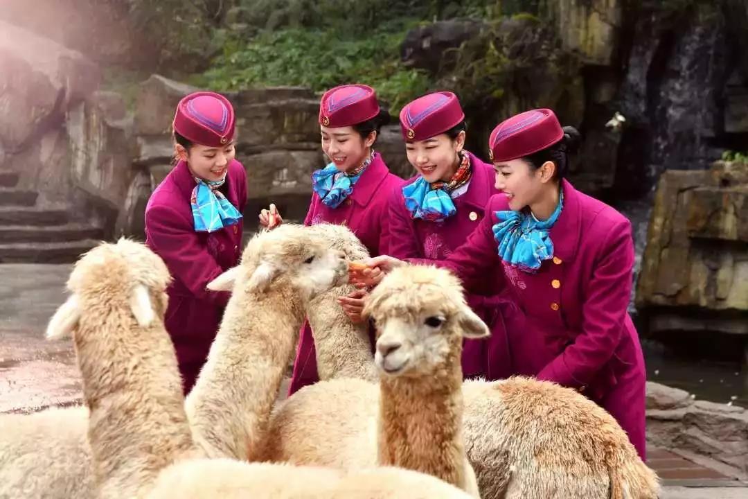 微信图片_20190106121704.jpg