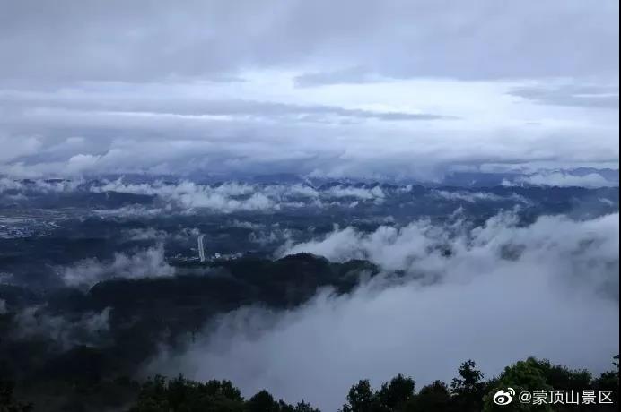 微信图片_20190815102658.jpg