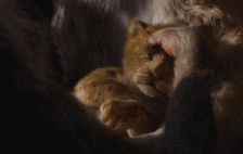 微信图片_20190911082729.gif