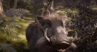 微信图片_20190911082808.gif