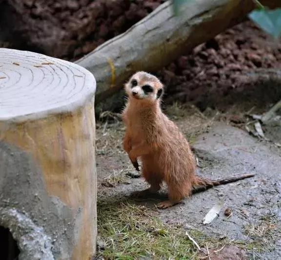 微信图片_20190911082822.jpg