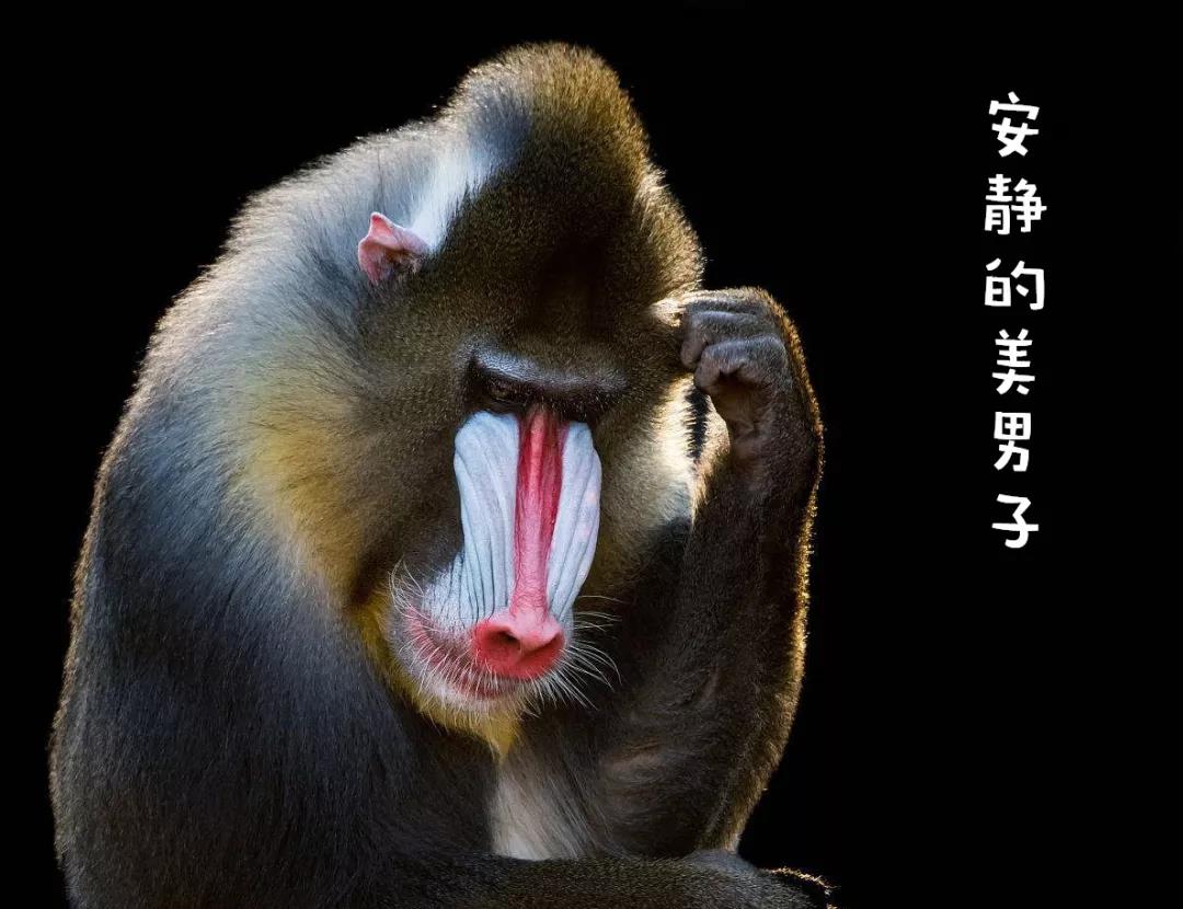 微信图片_20190911082840.jpg