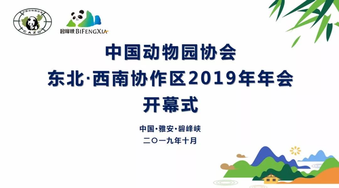 图片文本描述