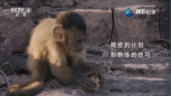 微信图片_20191026090900.gif