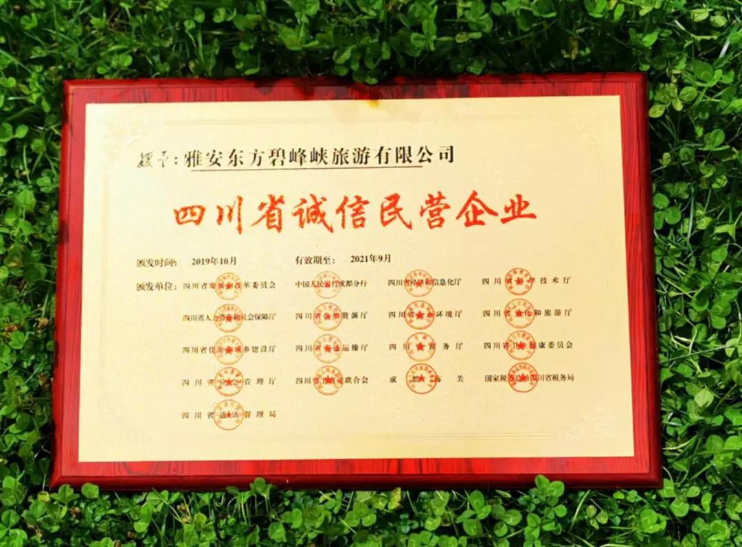 图片文本描述