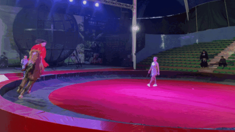 微信图片_20210501083842.gif