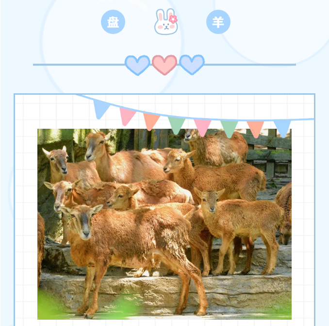微信图片_202106030828582.png