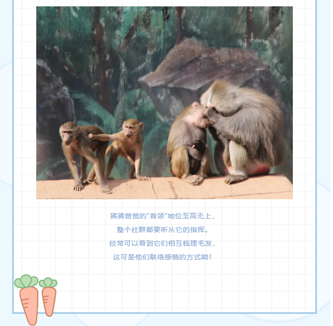微信图片_202106030828586.png